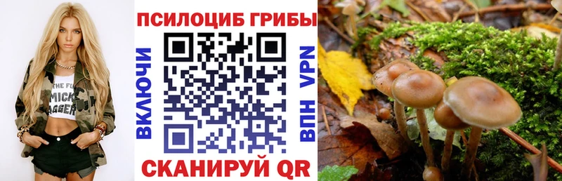 Псилоцибиновые грибы прущие грибы  Галич 